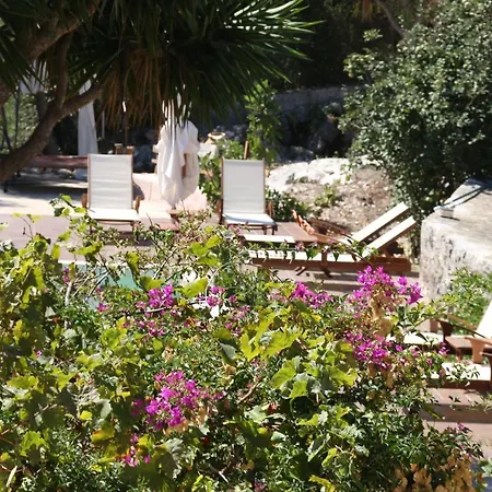 Luxury Stone فيسكاردو